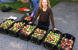 $12,300 Raised for Living Green by Delta Barrie